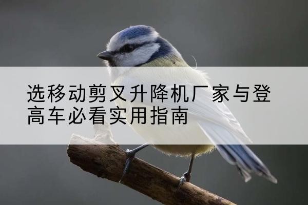 西畴电动升降机厂家-选移动剪叉升降机厂家与登高车必看实用指南