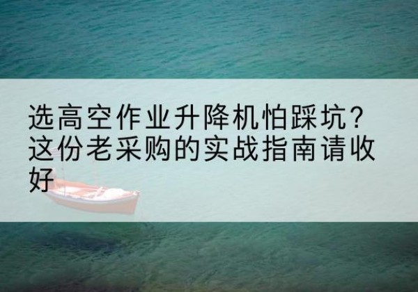 西畴高空作业升降机厂家推荐-选高空作业升降机怕踩坑？这份老采购的实战指南请收好