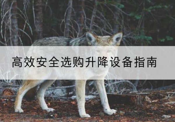 西畴升降货梯厂家推荐-*安全选购升降设备指南