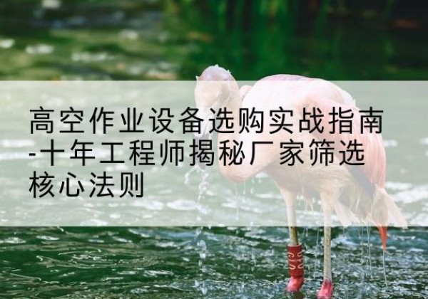 西畴剪叉式升降机厂家-高空作业设备选购实战指南-十年工程师揭秘厂家筛选核心法则